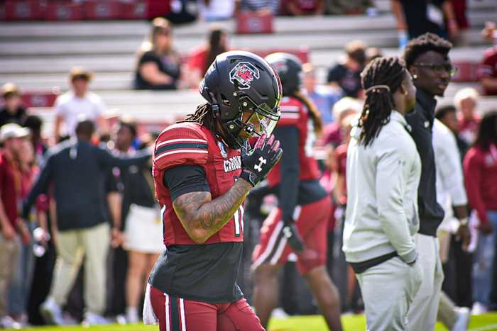 WR #10 Ahmarean Brown